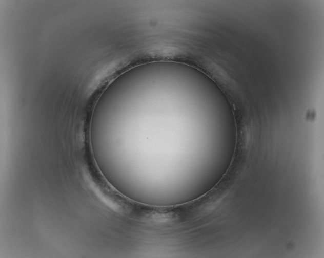 X0000112200638200908141434