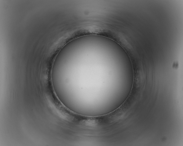 X0000112200639200908141434