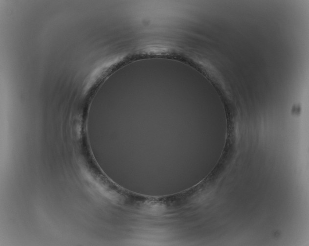 X0000112200640200908141434