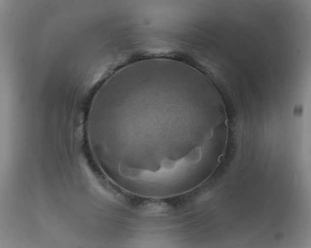 X0000112200642200908141434