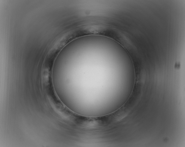 X0000112200646200908141434