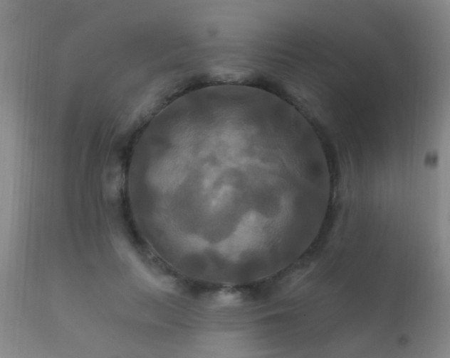 X0000112200647200908141434