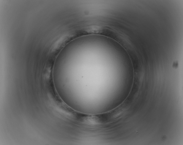 X0000112200652200908141435