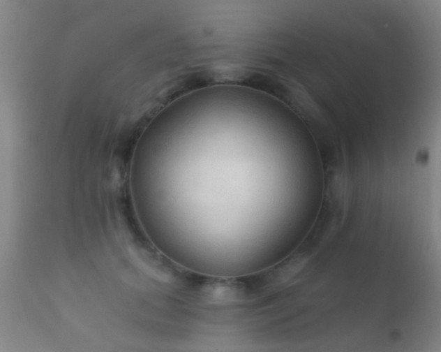 X0000112200655200908141435