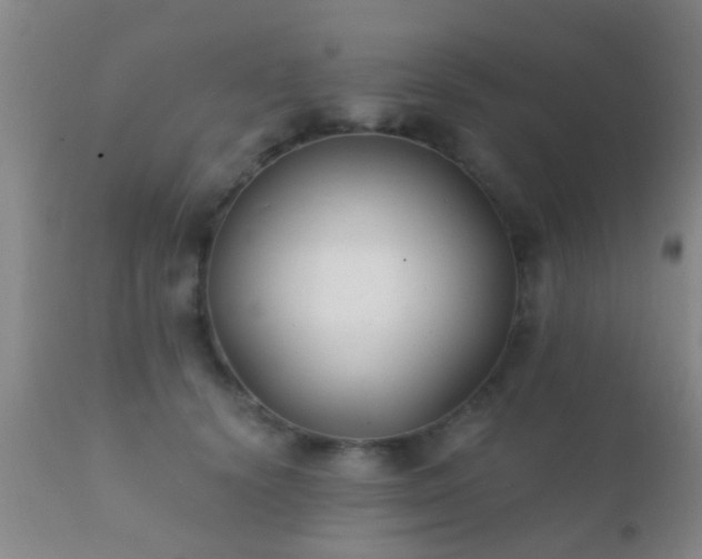 X0000112200656200908141435