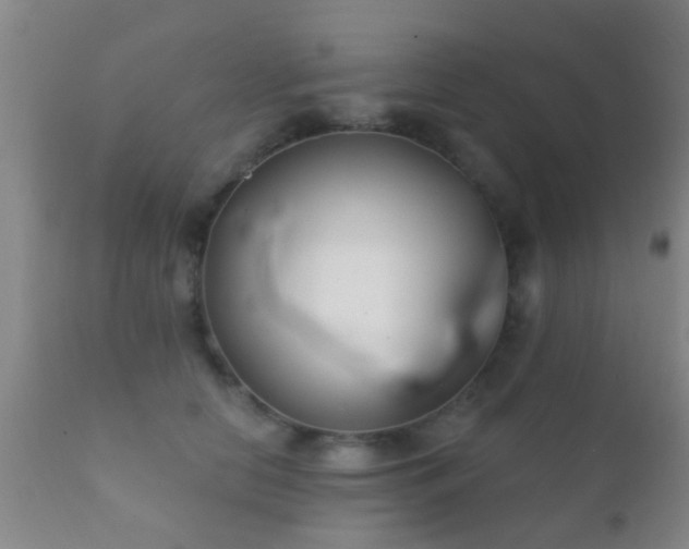 X0000112200658200908141435