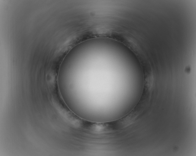 X0000112200662200908141435