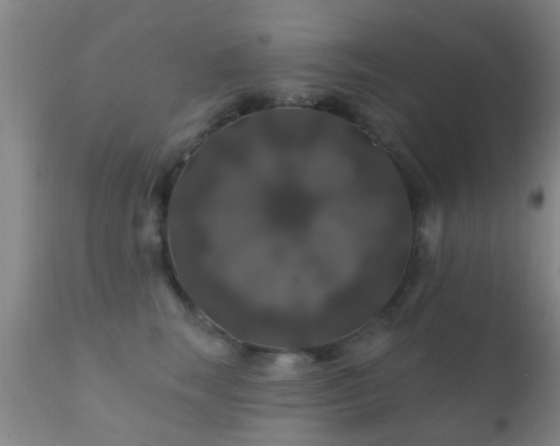 X0000112200663200908141435