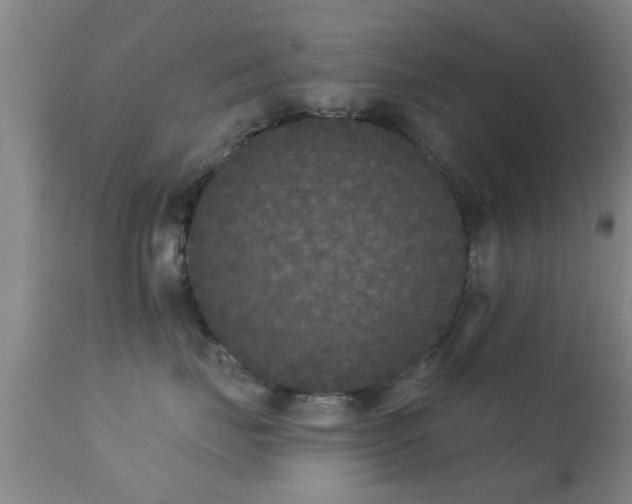 X0000112200671200908141435