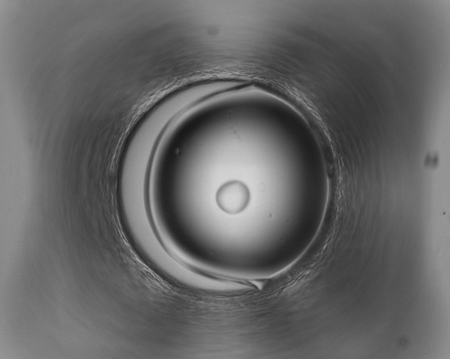 X0000112200673200908141434