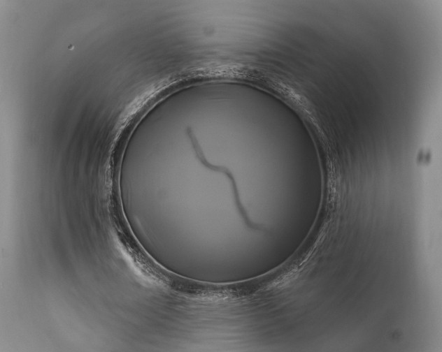 X0000112200674200908141434