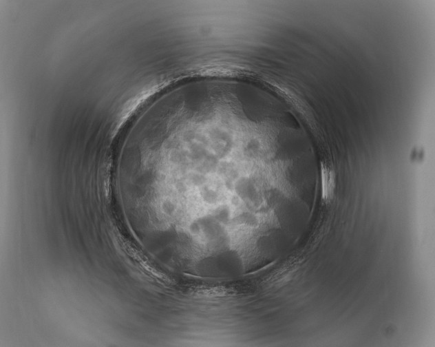 X0000112200675200908141434