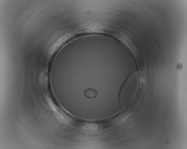 X0000112200677200908141434