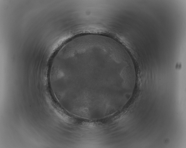 X0000112200679200908141434