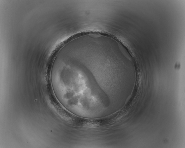X0000112200680200908141434