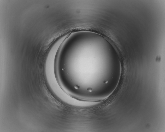 X0000112200681200908141434