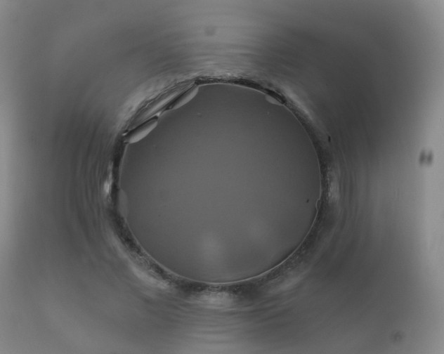 X0000112200685200908141434