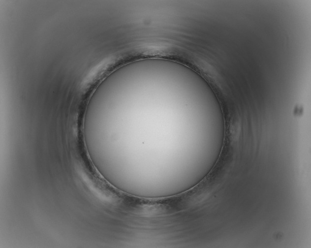 X0000112200686200908141434