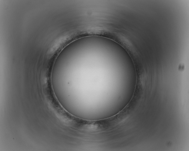 X0000112200687200908141434
