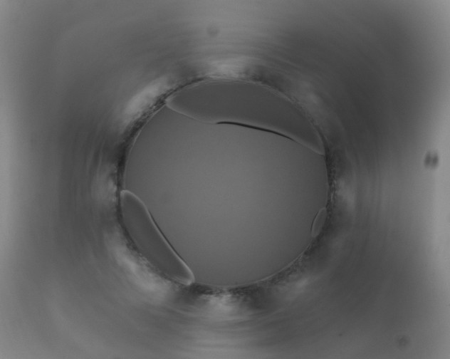 X0000112200688200908141434