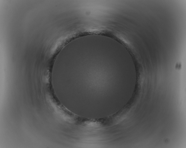 X0000112200689200908141434