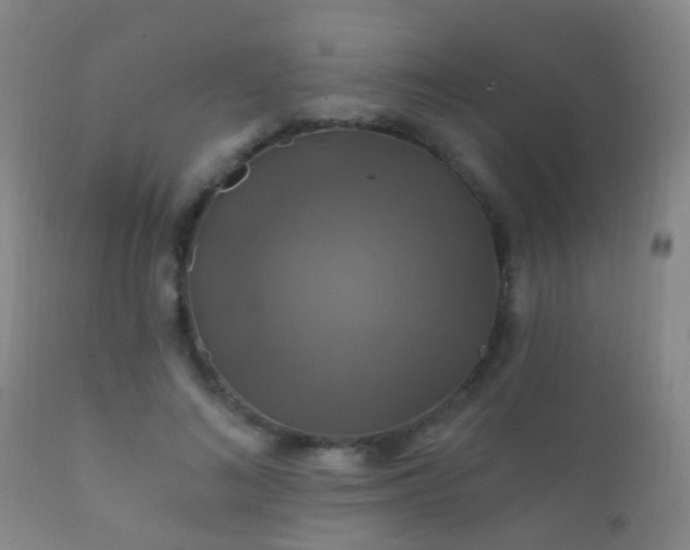 X0000112200692200908141434