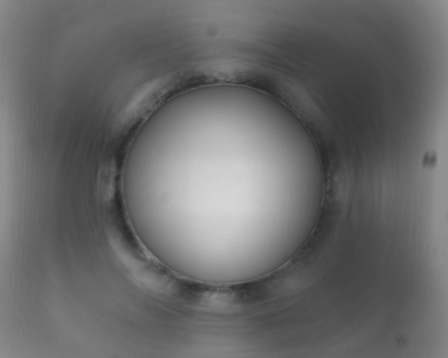 X0000112200694200908141434
