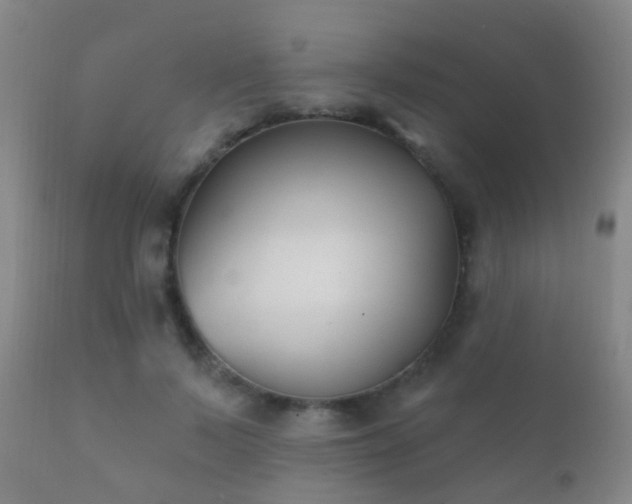 X0000112200695200908141434