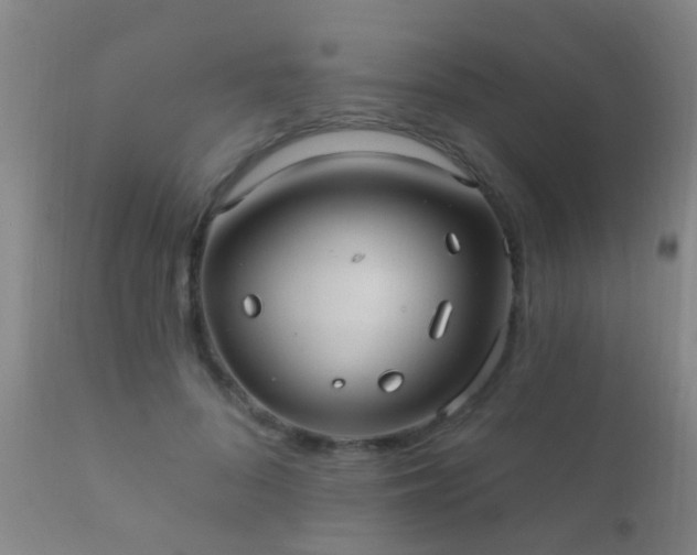 X0000112200696200908141434