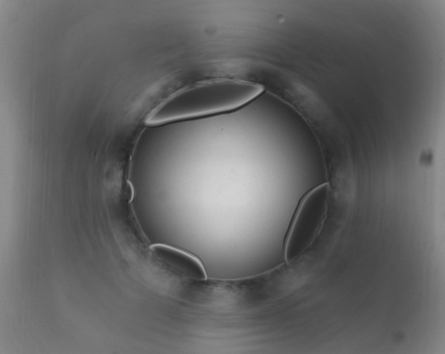 X0000112200697200908141434