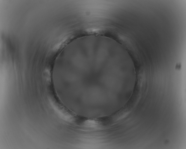 X0000112200699200908141434