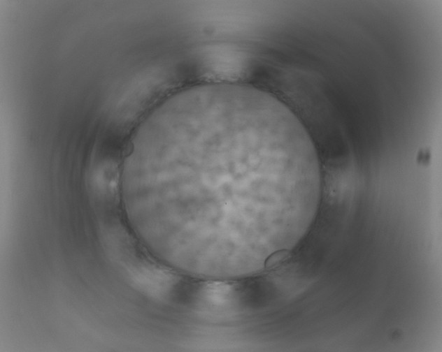 X0000112200701200908141434