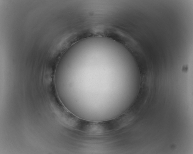 X0000112200702200908141434