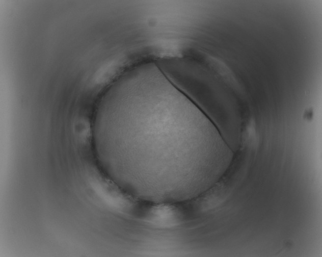 X0000112200704200908141434