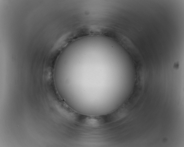 X0000112200706200908141434