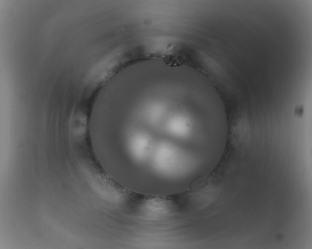 X0000112200708200908141434