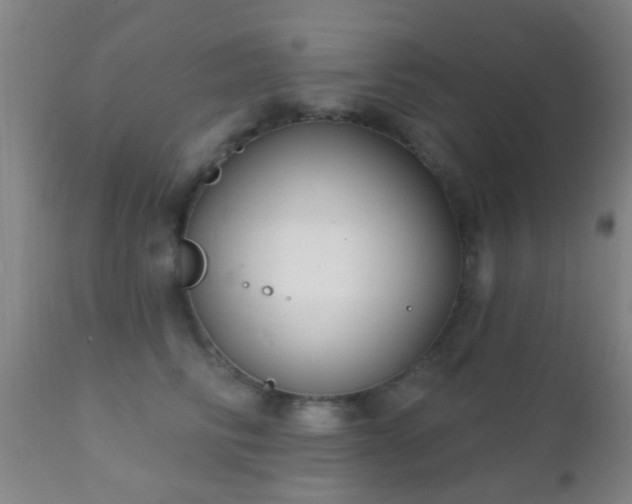 X0000112200710200908141434