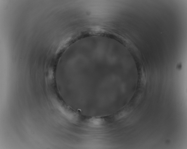 X0000112200711200908141434