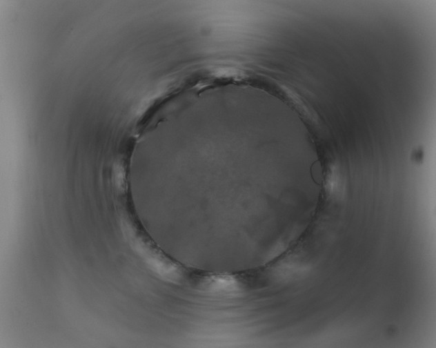 X0000112200715200908141434
