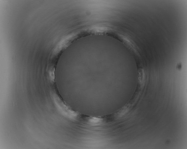 X0000112200718200908141434