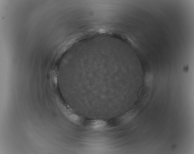 X0000112200719200908141434