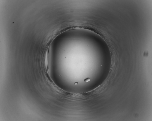 X0000112200720200908141433