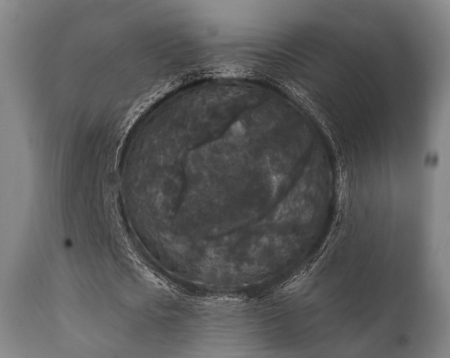 X0000112200721200908141432