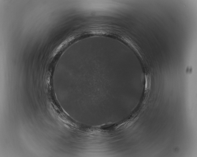 X0000112200723200908141433