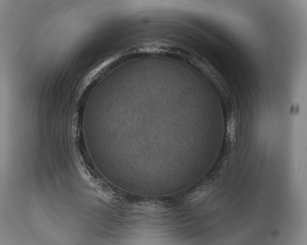 X0000112200724200908141433