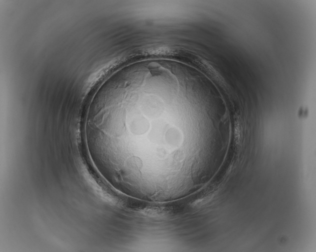 X0000112200725200908141433