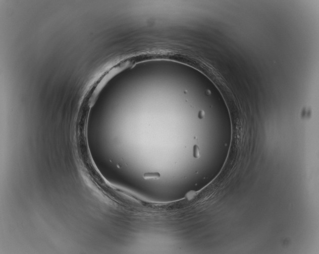 X0000112200726200908141433