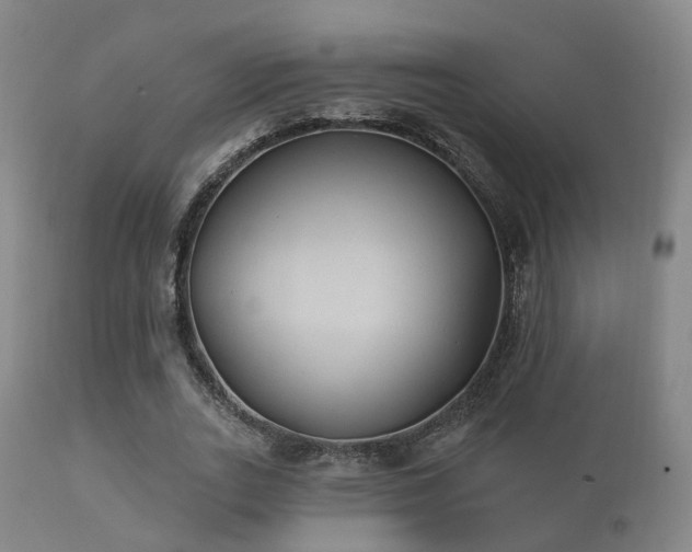 X0000112200727200908141433