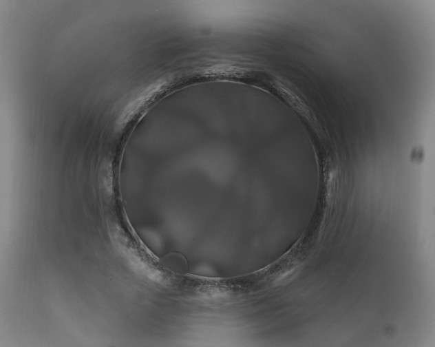 X0000112200729200908141433