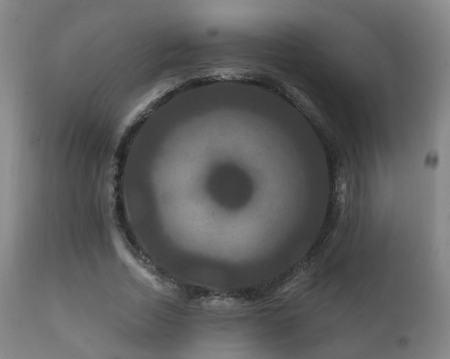 X0000112200730200908141433